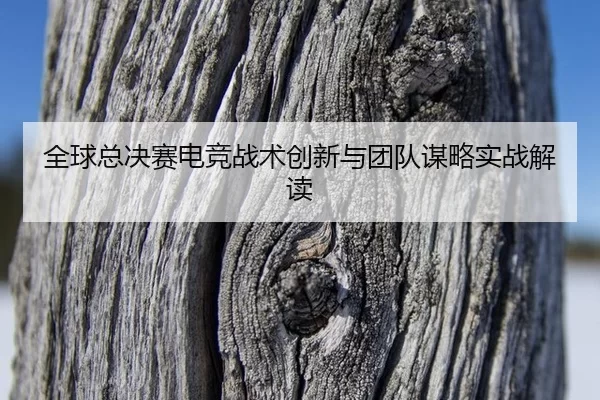 quan-qiu-zong-jue-sai-dian-jing-zhan-shu-chuang-xin-yu-tuan-dui-mou-lve-shi-zhan-jie-du-2-188.jpg